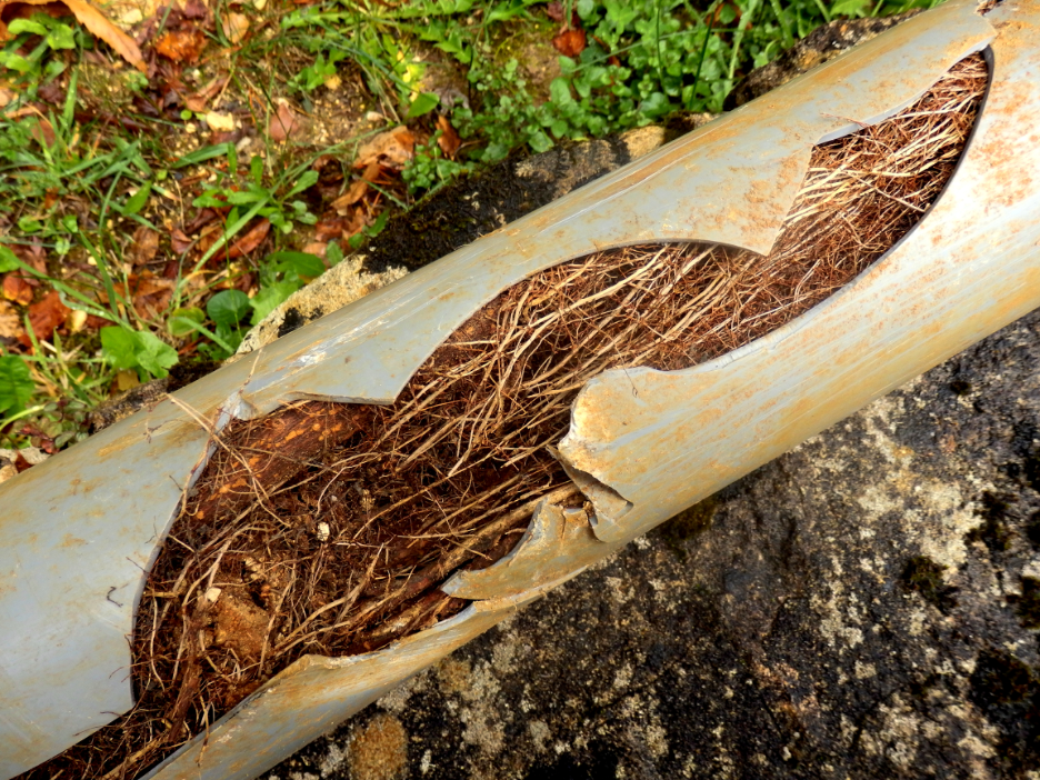 Sewer Line Rodding Contractor in Wilmette, Illinois