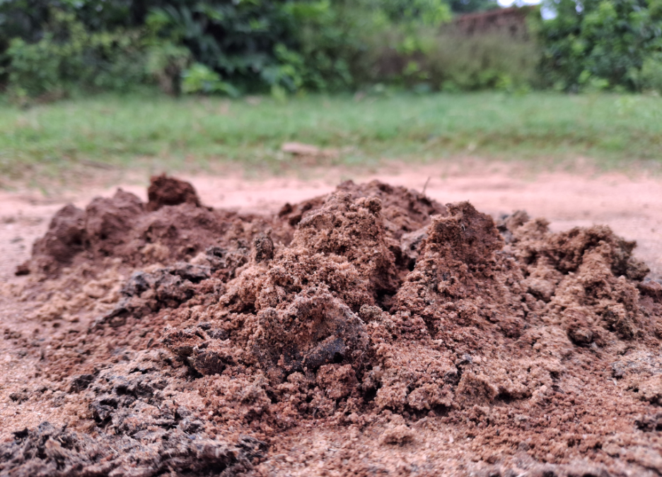 Why Do Sewer Repairs Sometimes Leave Behind a Mound of Dirt? Insights from a Sewer Line Rodding Contractor in Lake Forest, Illinois